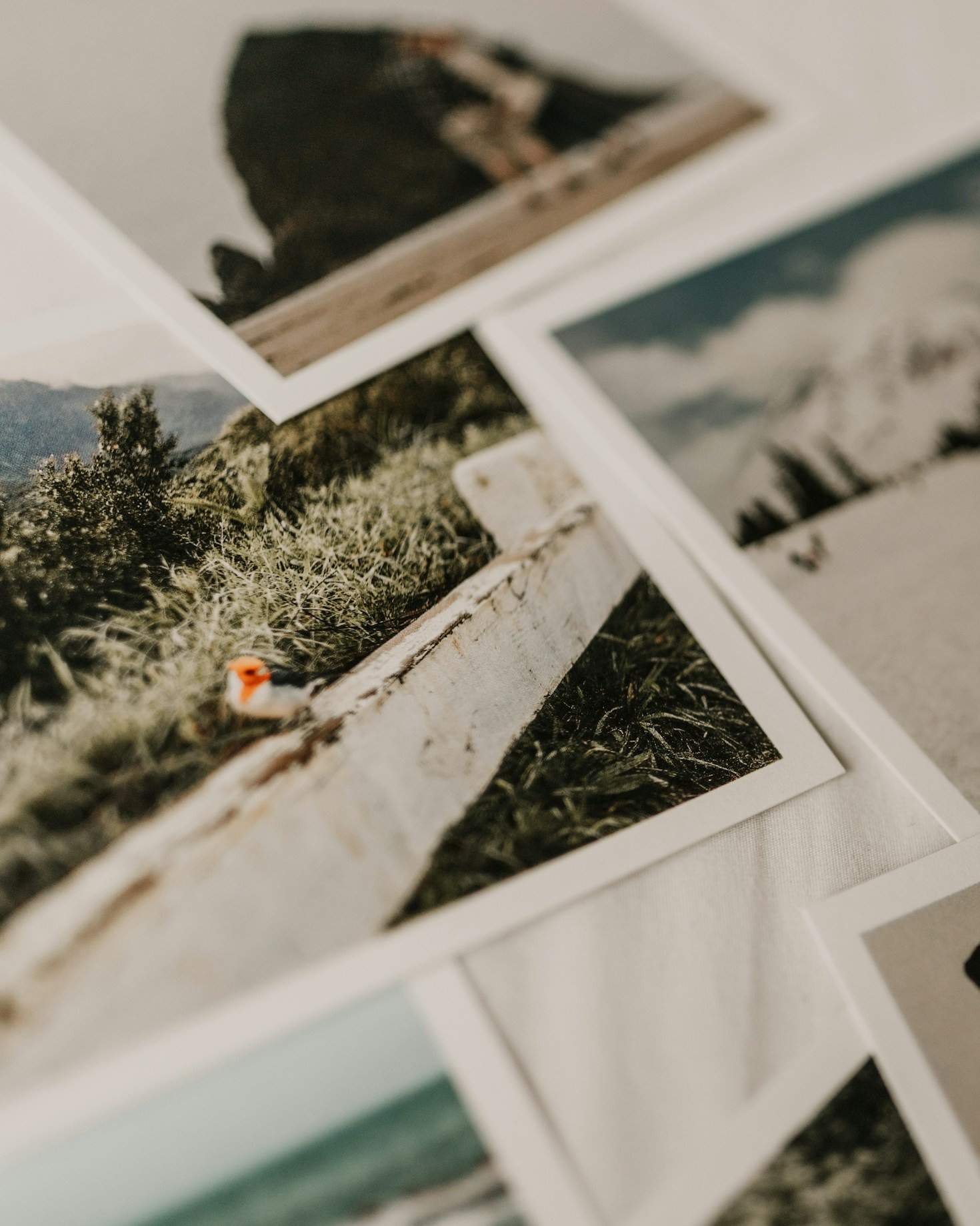 Memorie e movimenti: storie che prendono forma